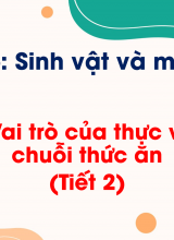 Chủ đề 6 - Bài 23 Vai trò của thực vật trong chuỗi thức ăn (T2)